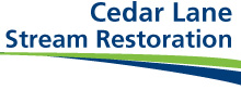 Cedar Lane Stream Restoration