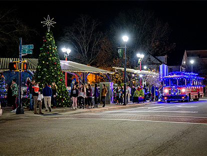 Christmas tree on Evans Street