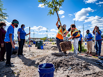 Community Tree Day