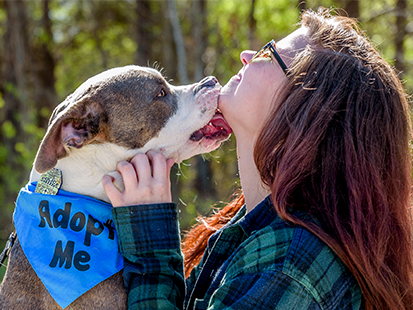 Girl and dog interacting