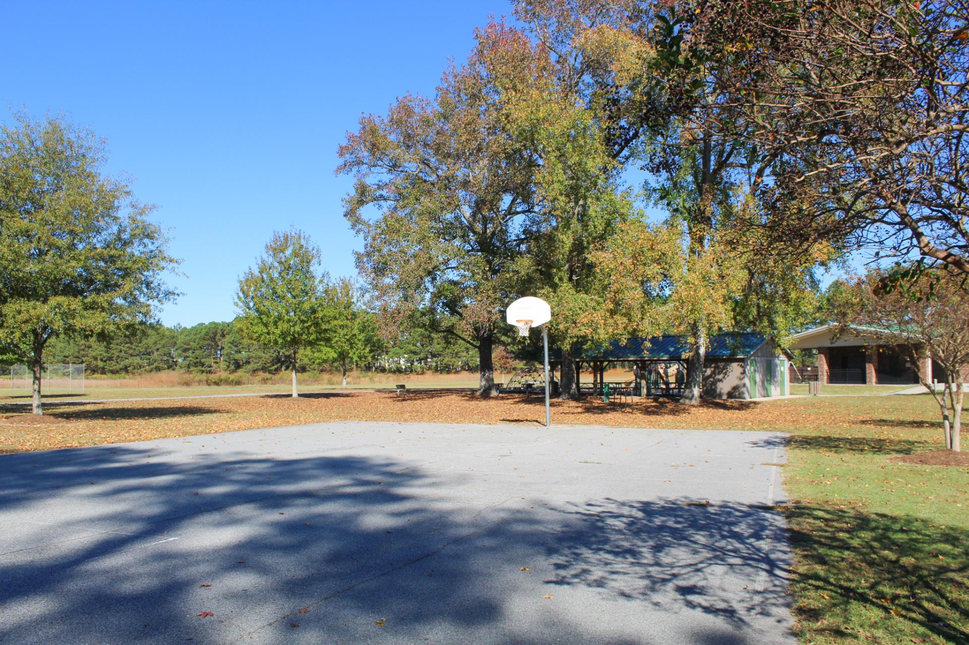 Basketball Court