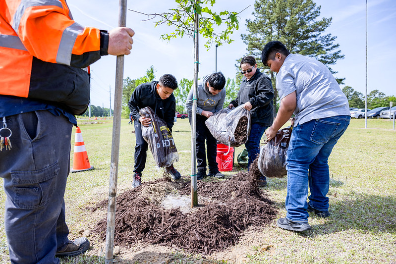 Students planting a tree