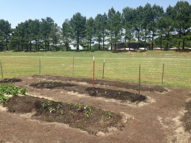 Childrens Garden