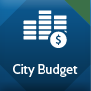 City Budget